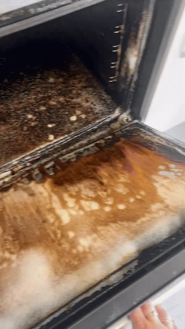 Foam Cleaner Germany